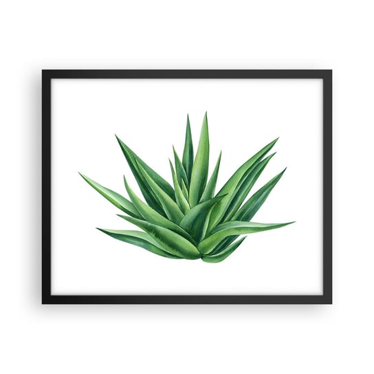 Obraz - Plakat - Zieleń – siła – życie - 50x40cm - Roślina Aloes Botanika - Foto Plakaty w ramie koloru czarnego do Salonu Sypialni ARTTOR ARTTOR