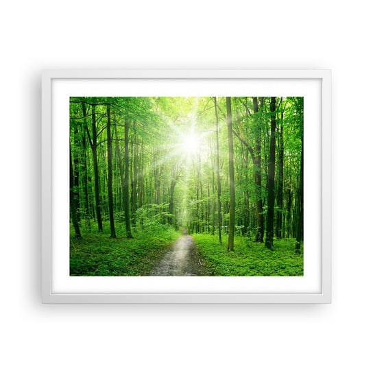 Obraz - Plakat - Zielona katedra - 50x40cm - Krajobraz Las Promienie Słońca - Foto Plakaty w ramie koloru białego do Salonu Sypialni ARTTOR ARTTOR