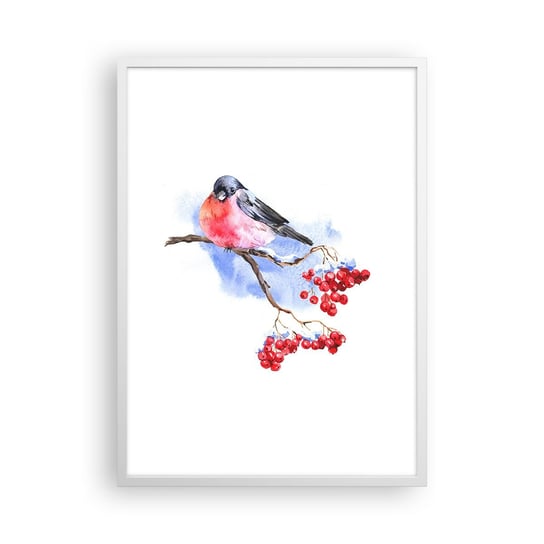 Obraz - Plakat - Zima w kolorze - 50x70cm - Ptak Na Gałęzi Czerwona Jarzębina Grafika - Nowoczesny modny obraz Plakat rama biała ARTTOR ARTTOR