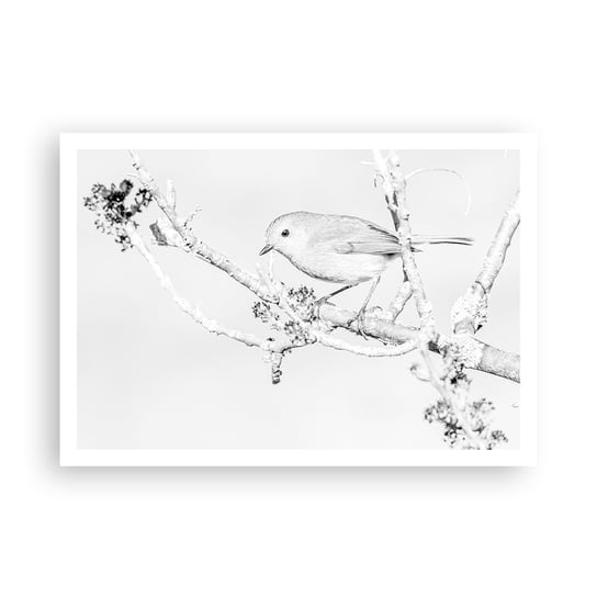 Obraz - Plakat - Zimowy poranek - 100x70cm - Jasny Ptak Natura - Foto Plakaty bez ramy na ścianę do Salonu Sypialni ARTTOR ARTTOR