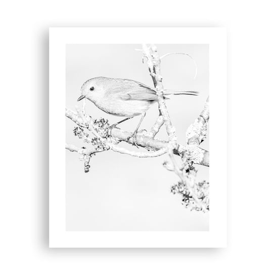 Obraz - Plakat - Zimowy poranek - 40x50cm - Jasny Ptak Natura - Foto Plakaty bez ramy do Salonu Sypialni ARTTOR ARTTOR