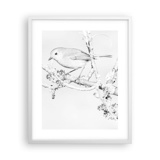 Obraz - Plakat - Zimowy poranek - 40x50cm - Jasny Ptak Natura - Foto Plakaty w ramie koloru białego do Salonu Sypialni ARTTOR ARTTOR
