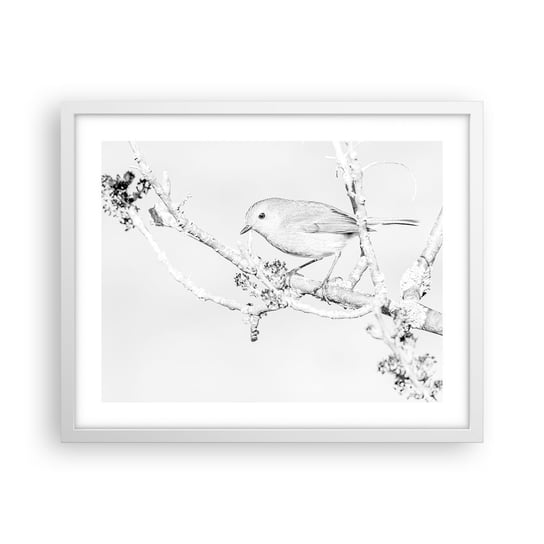 Obraz - Plakat - Zimowy poranek - 50x40cm - Jasny Ptak Natura - Foto Plakaty w ramie koloru białego do Salonu Sypialni ARTTOR ARTTOR