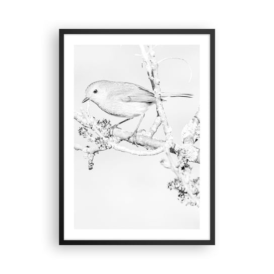 Obraz - Plakat - Zimowy poranek - 50x70cm - Jasny Ptak Natura - Nowoczesny modny obraz Plakat czarna rama ARTTOR ARTTOR