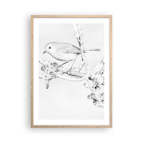 Obraz - Plakat - Zimowy poranek - 50x70cm - Jasny Ptak Natura - Nowoczesny modny obraz Plakat rama jasny dąb ARTTOR ARTTOR