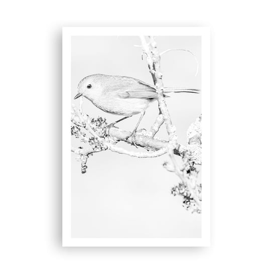 Obraz - Plakat - Zimowy poranek - 61x91cm - Jasny Ptak Natura - Foto Plakaty na ścianę bez ramy - Plakat do Salonu Sypialni ARTTOR ARTTOR