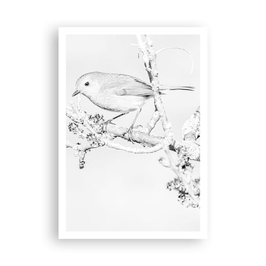 Obraz - Plakat - Zimowy poranek - 70x100cm - Jasny Ptak Natura - Foto Plakaty bez ramy na ścianę do Salonu Sypialni ARTTOR ARTTOR