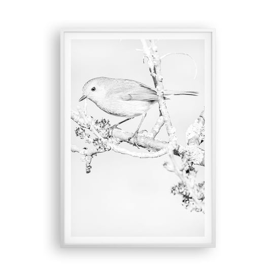 Obraz - Plakat - Zimowy poranek - 70x100cm - Jasny Ptak Natura - Foto Plakaty w ramie koloru białego do Salonu Sypialni ARTTOR ARTTOR