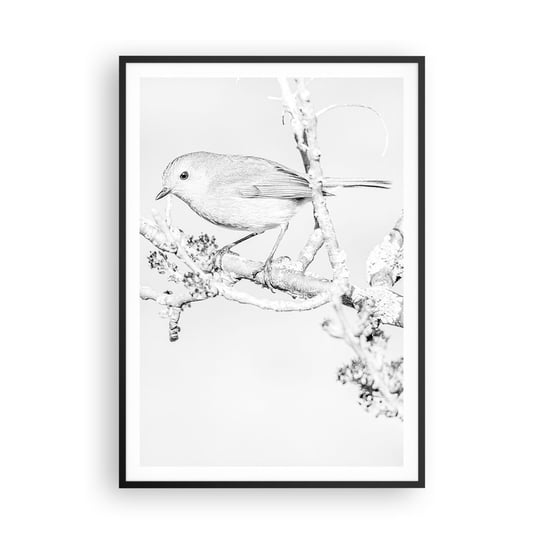 Obraz - Plakat - Zimowy poranek - 70x100cm - Jasny Ptak Natura - Foto Plakaty w ramie koloru czarnego do Salonu Sypialni ARTTOR ARTTOR