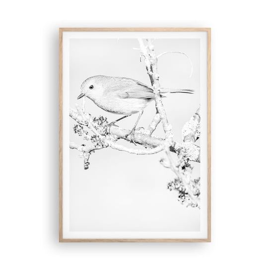 Obraz - Plakat - Zimowy poranek - 70x100cm - Jasny Ptak Natura - Foto Plakaty w ramie koloru jasny dąb do Salonu Sypialni ARTTOR ARTTOR
