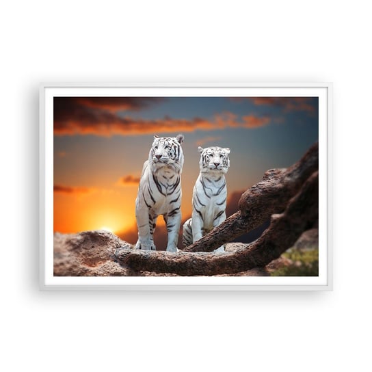 Obraz - Plakat - Zupełnie jak w Narni - 100x70cm - Zwierzęta Tygrys Zachód Słońca - Foto Plakaty w ramie koloru białego do Salonu Sypialni ARTTOR ARTTOR