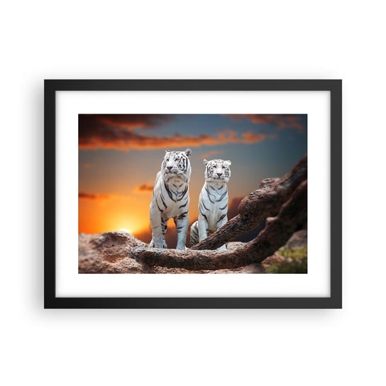 Obraz - Plakat - Zupełnie jak w Narni - 40x30cm - Zwierzęta Tygrys Zachód Słońca - Foto Plakaty na ścianę w czarnej ramie - Plakat do Salonu Sypialni ARTTOR ARTTOR