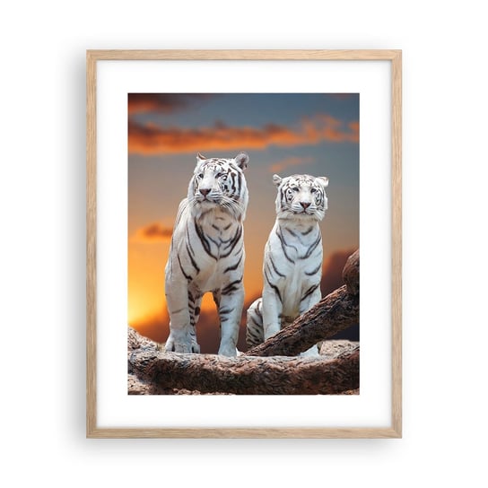 Obraz - Plakat - Zupełnie jak w Narni - 40x50cm - Zwierzęta Tygrys Zachód Słońca - Foto Plakaty w ramie koloru jasny dąb do Salonu Sypialni ARTTOR ARTTOR