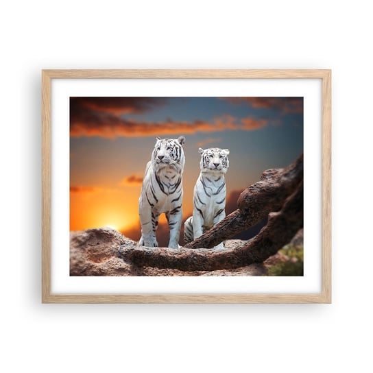Obraz - Plakat - Zupełnie jak w Narni - 50x40cm - Zwierzęta Tygrys Zachód Słońca - Foto Plakaty w ramie koloru jasny dąb do Salonu Sypialni ARTTOR ARTTOR