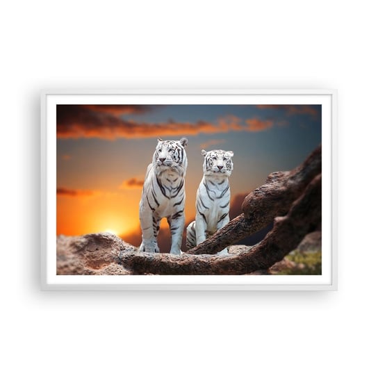 Obraz - Plakat - Zupełnie jak w Narni - 91x61cm - Zwierzęta Tygrys Zachód Słońca - Foto Plakaty na ścianę w ramie białej - Plakat do Salonu Sypialni ARTTOR ARTTOR