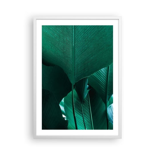 Obraz - Plakat - Zwrócone do światła - 50x70cm - Liść Bananowca Bananowiec Roślina - Nowoczesny modny obraz Plakat rama biała ARTTOR ARTTOR