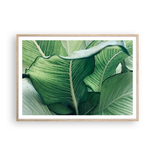 Obraz - Plakat - Życie intensywnie zielone - 100x70cm - Liście Egzotyczny Botaniczny - Foto Plakaty w ramie koloru jasny dąb do Salonu Sypialni ARTTOR ARTTOR