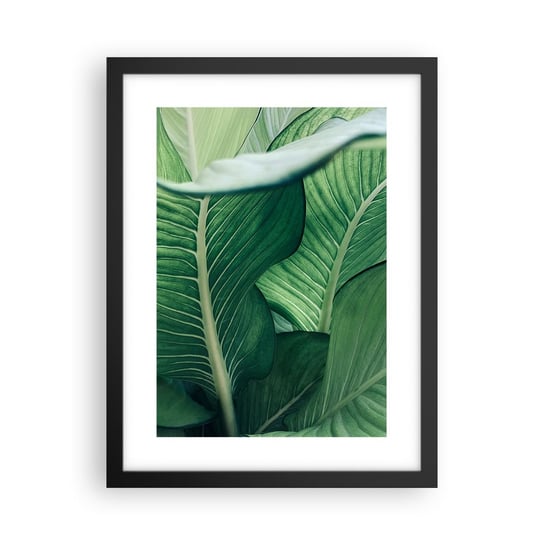 Obraz - Plakat - Życie intensywnie zielone - 30x40cm - Liście Egzotyczny Botaniczny - Foto Plakaty na ścianę w czarnej ramie - Plakat do Salonu Sypialni ARTTOR ARTTOR