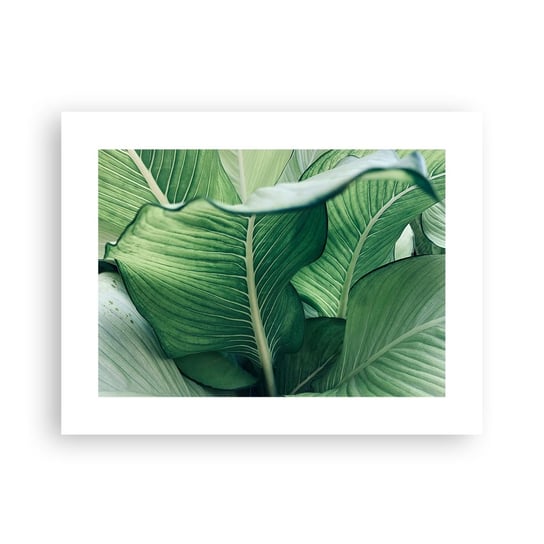 Obraz - Plakat - Życie intensywnie zielone - 40x30cm - Liście Egzotyczny Botaniczny - Foto Plakaty na ścianę bez ramy - Plakat do Salonu Sypialni ARTTOR ARTTOR