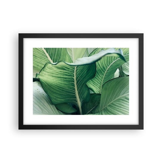 Obraz - Plakat - Życie intensywnie zielone - 40x30cm - Liście Egzotyczny Botaniczny - Foto Plakaty na ścianę w czarnej ramie - Plakat do Salonu Sypialni ARTTOR ARTTOR