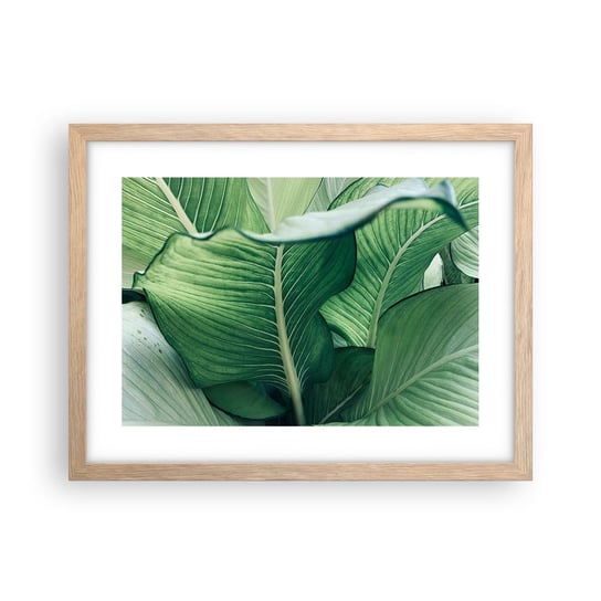 Obraz - Plakat - Życie intensywnie zielone - 40x30cm - Liście Egzotyczny Botaniczny - Foto Plakaty na ścianę w ramie jasny dąb - Plakat do Salonu Sypialni ARTTOR ARTTOR