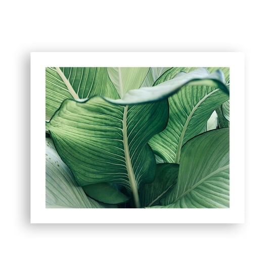 Obraz - Plakat - Życie intensywnie zielone - 50x40cm - Liście Egzotyczny Botaniczny - Foto Plakaty bez ramy do Salonu Sypialni ARTTOR ARTTOR