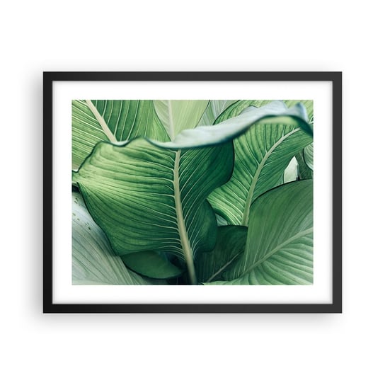 Obraz - Plakat - Życie intensywnie zielone - 50x40cm - Liście Egzotyczny Botaniczny - Foto Plakaty w ramie koloru czarnego do Salonu Sypialni ARTTOR ARTTOR