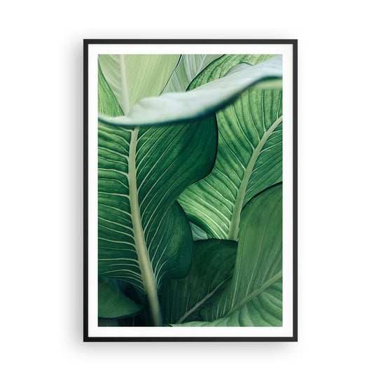 Obraz - Plakat - Życie intensywnie zielone - 70x100cm - Liście Egzotyczny Botaniczny - Foto Plakaty w ramie koloru czarnego do Salonu Sypialni ARTTOR ARTTOR