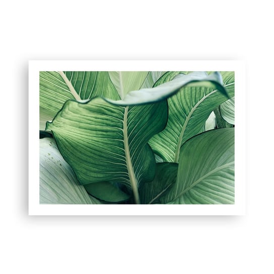 Obraz - Plakat - Życie intensywnie zielone - 70x50cm - Liście Egzotyczny Botaniczny - Nowoczesny modny obraz Plakat bez ramy do Salonu Sypialni ARTTOR ARTTOR