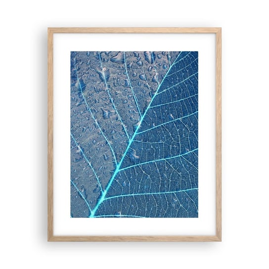 Obraz - Plakat - Życie w błękicie - 40x50cm - Liść Roślina Natura - Foto Plakaty w ramie koloru jasny dąb do Salonu Sypialni ARTTOR ARTTOR