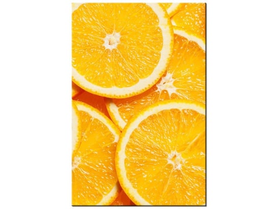 Obraz Plasterki pomarańczy, 20x30 cm Oobrazy