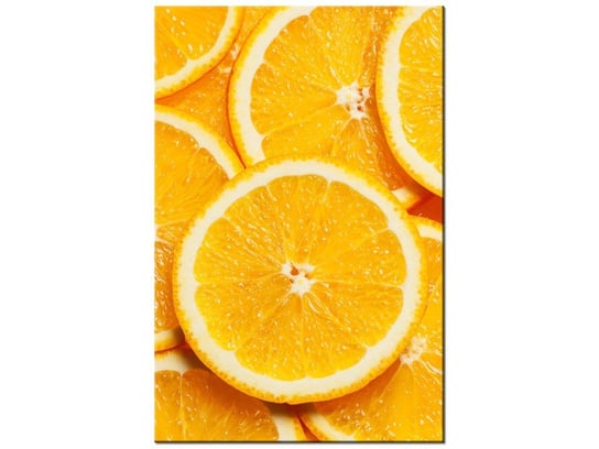 Obraz Plasterki pomarańczy, 20x30 cm Oobrazy