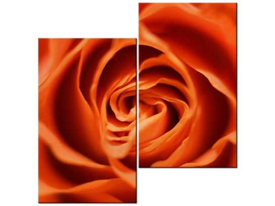 Obraz Płatki róży herbacianej, 2 elementy, 60x60 cm Oobrazy