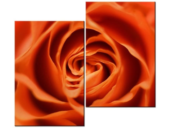 Obraz Płatki róży herbacianej, 2 elementy, 80x70 cm Oobrazy
