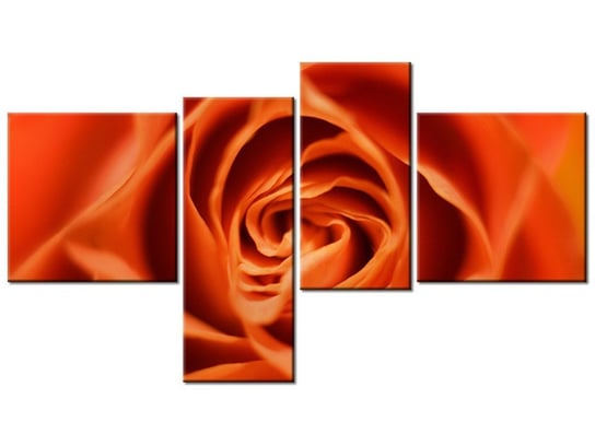 Obraz Płatki róży herbacianej, 4 elementy, 100x55 cm Oobrazy