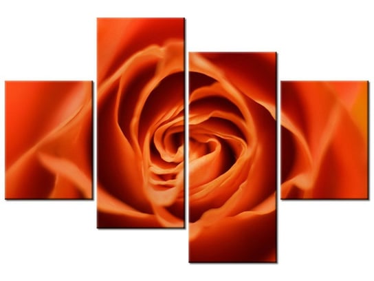 Obraz Płatki róży herbacianej, 4 elementy, 120x80 cm Oobrazy