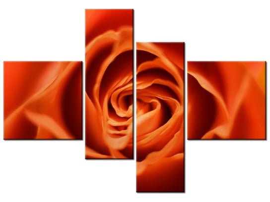 Obraz Płatki róży herbacianej, 4 elementy, 130x90 cm Oobrazy