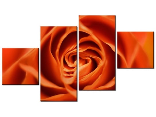 Obraz Płatki róży herbacianej, 4 elementy, 160x90 cm Oobrazy