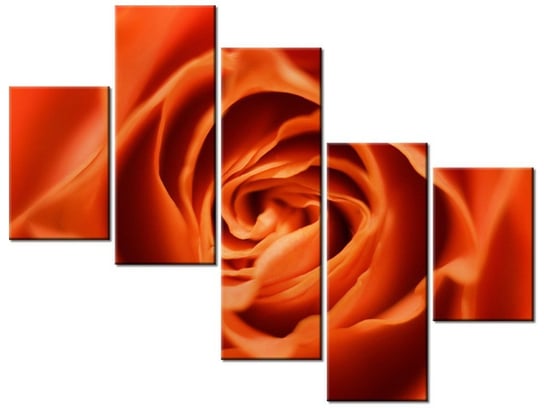 Obraz Płatki róży herbacianej, 5 elementów, 100x75 cm Oobrazy