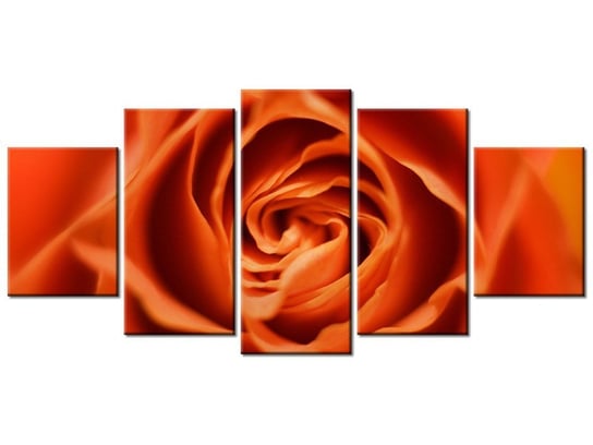 Obraz Płatki róży herbacianej, 5 elementów, 150x70 cm Oobrazy