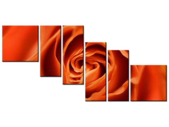 Obraz Płatki róży herbacianej, 6 elementów, 220x100 cm Oobrazy