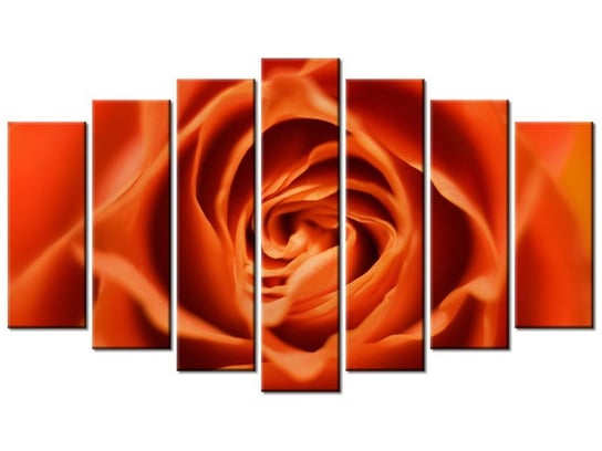 Obraz Płatki róży herbacianej, 7 elementów, 140x80 cm Oobrazy