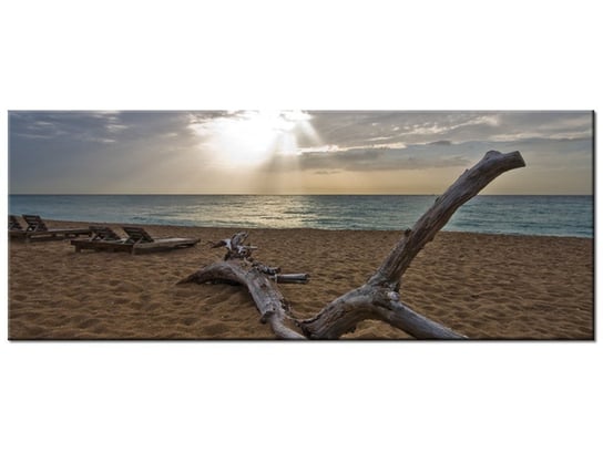 Obraz, Plaża - Benson Kua, 100x40 cm Oobrazy
