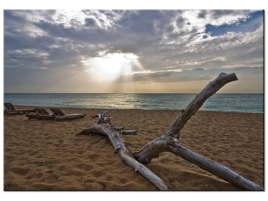 Obraz Plaża - Benson Kua, 100x70 cm Oobrazy