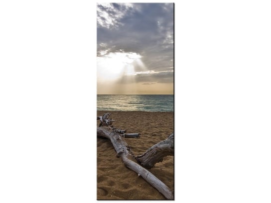 Obraz Plaża - Benson Kua, 40x100 cm Oobrazy