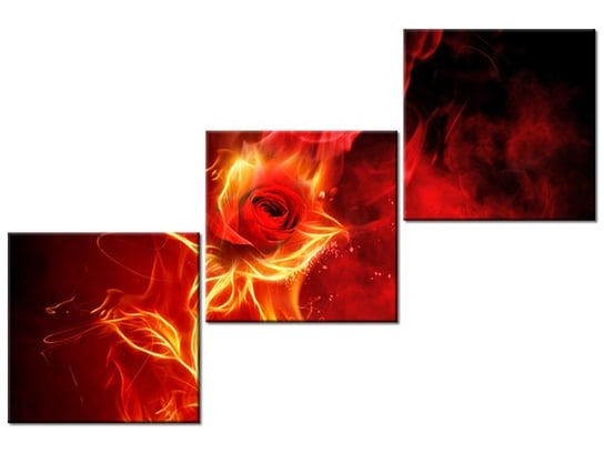 Obraz Płomienista róża, 3 elementy, 120x80 cm Oobrazy