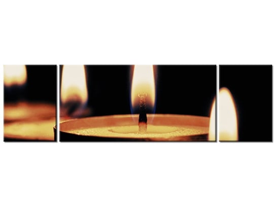 Obraz Płomyki - Tschiae, 3 elementy, 170x50 cm Oobrazy