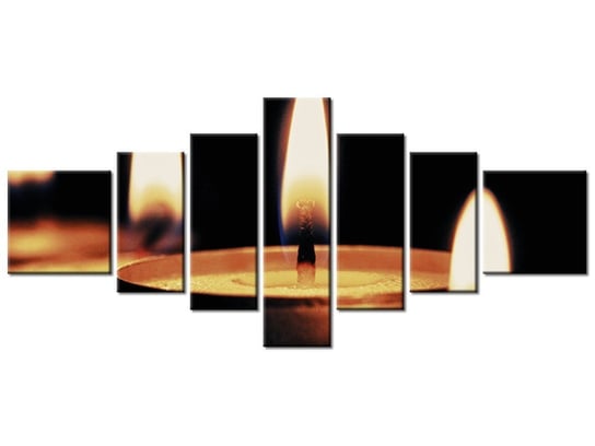 Obraz Płomyki - Tschiae, 7 elementów, 160x70 cm Oobrazy