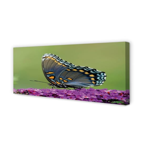 Obraz płótno TULUP Kolorowy motyl na kwiatach, 125x50 cm Tulup