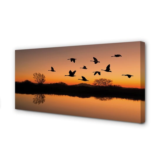 Obraz płótno TULUP Lecące ptaki zachód słońca, 100x50 cm cm Tulup